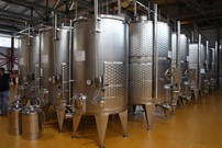 ООО Шумринка